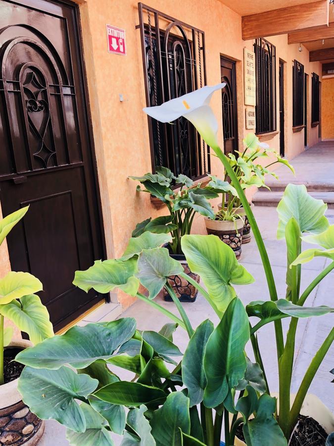 Hotel Posada San Jorge Bernal Bagian luar foto